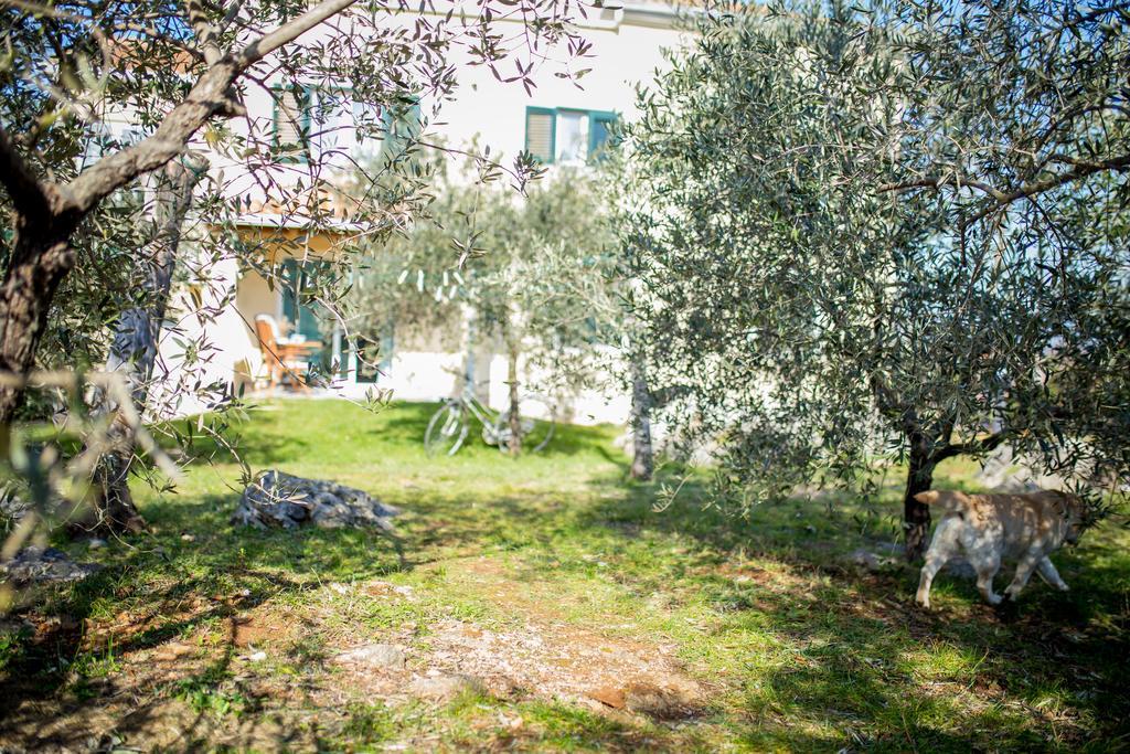 Draga Apartment Vrh  Exterior photo